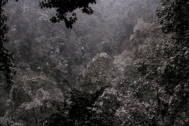 Sichuan rural 四川 1